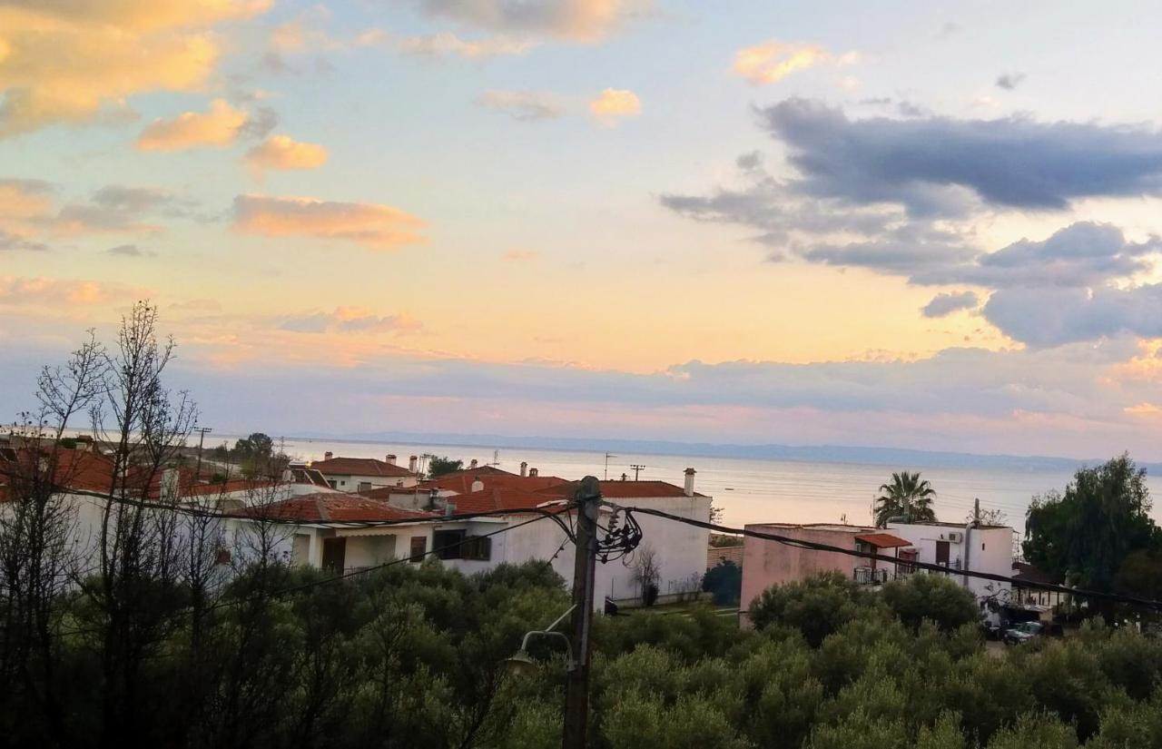 Trip Your Mind In Greece Psakoudia