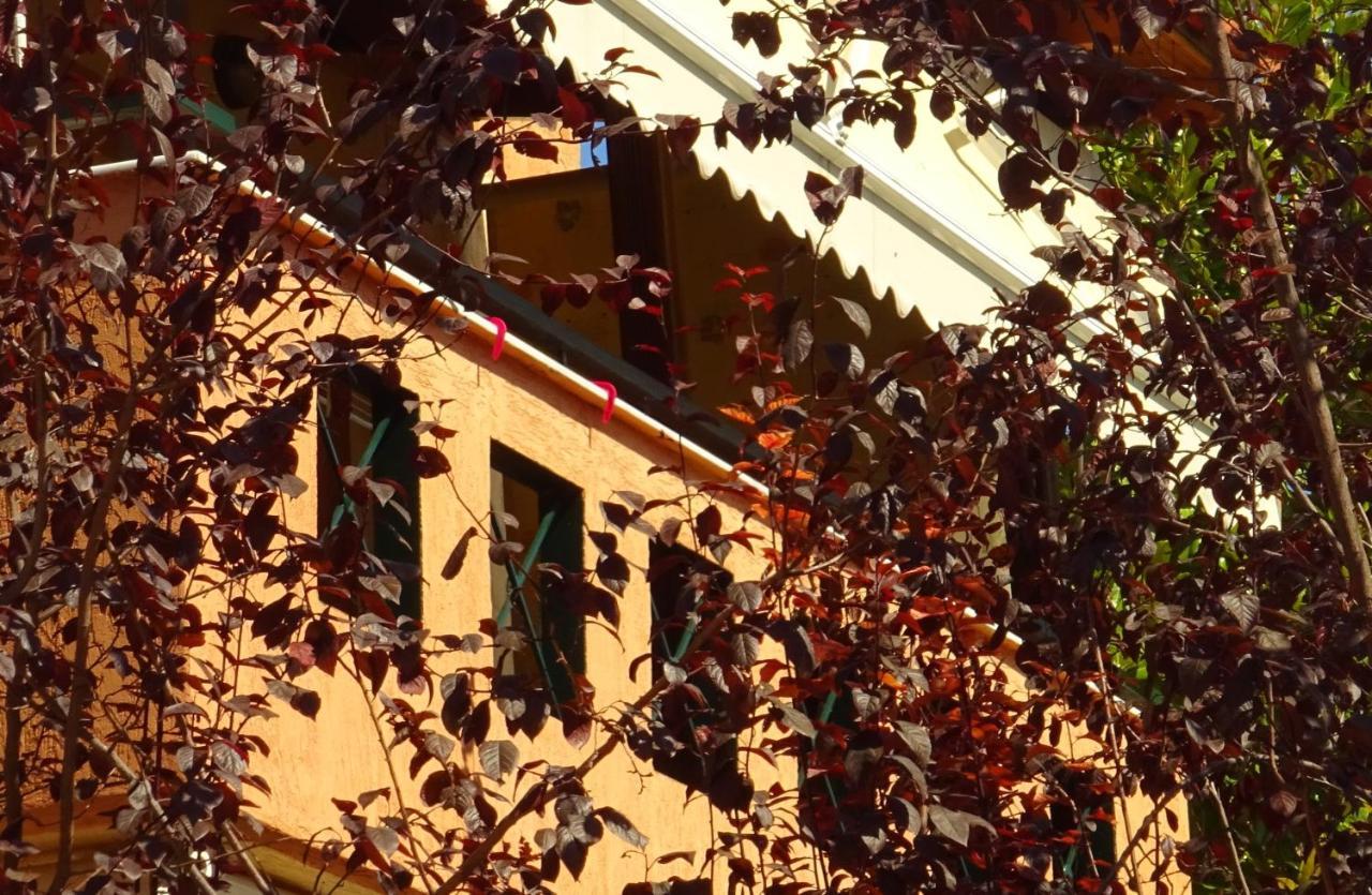 Trip Your Mind In Greece Apartment